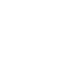 Vega AI(chung)ƽ_